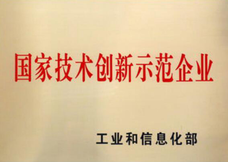 國(guó)家技術(shù)創(chuàng)新示范企業(yè)